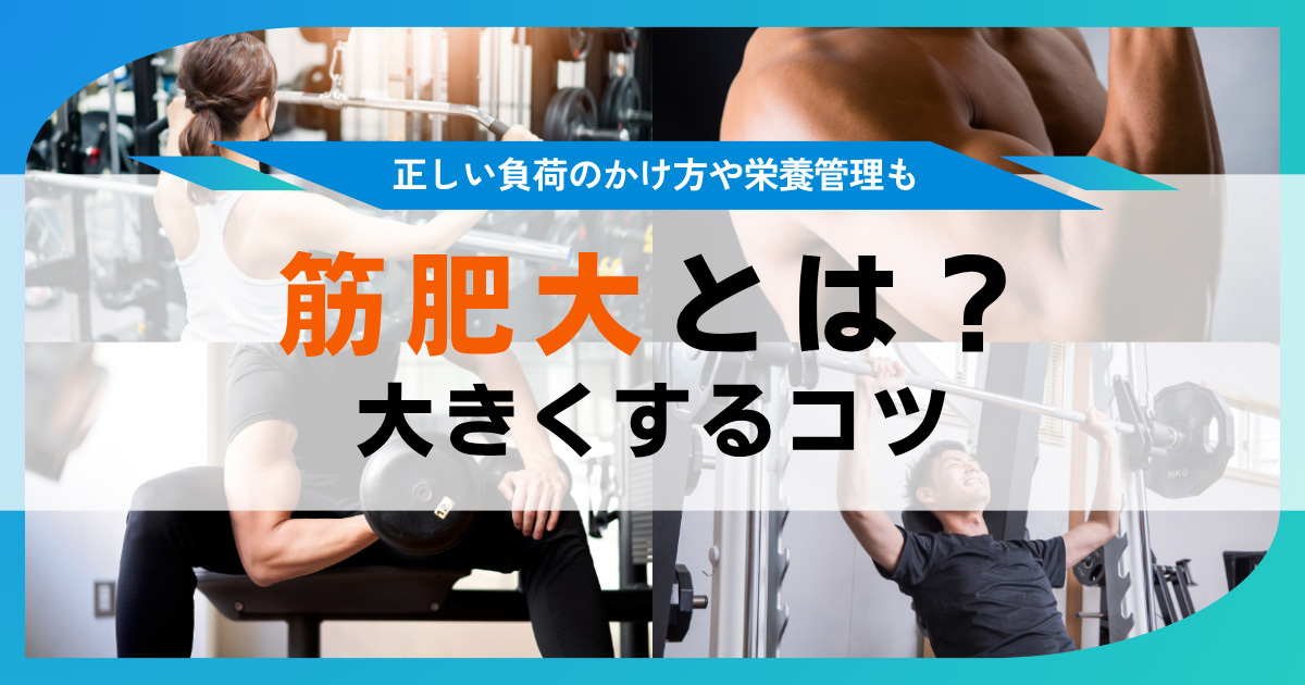 筋肥大とは？効率的に筋肉を大きくする食事やトレーニングを紹介