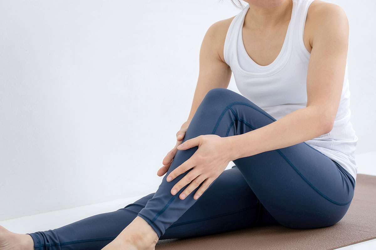 目的別のトレーニングプログラム