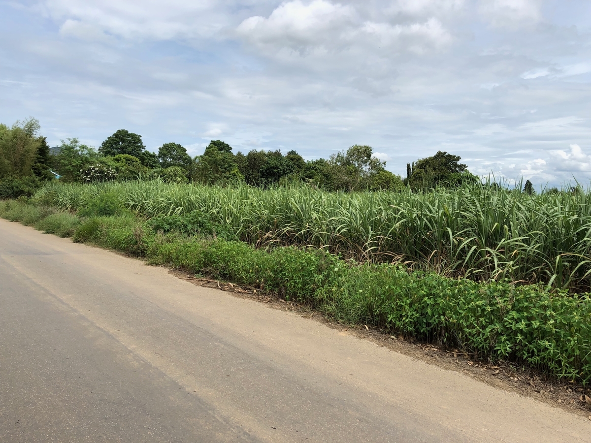 f:id:blog320:20190916184351j:plain