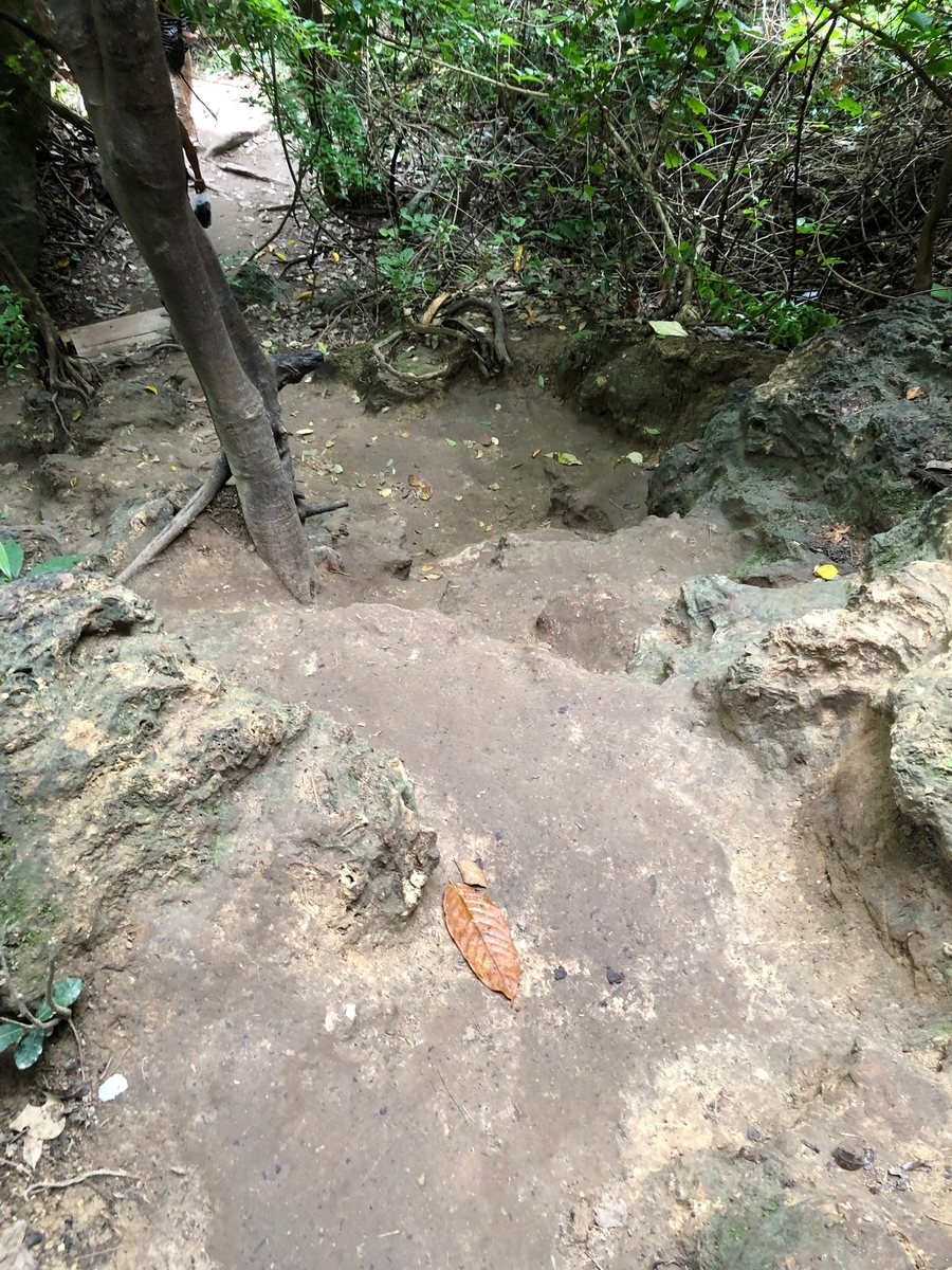 f:id:blog320:20191012114126j:plain f:id:blog320:20191012114126j:plain