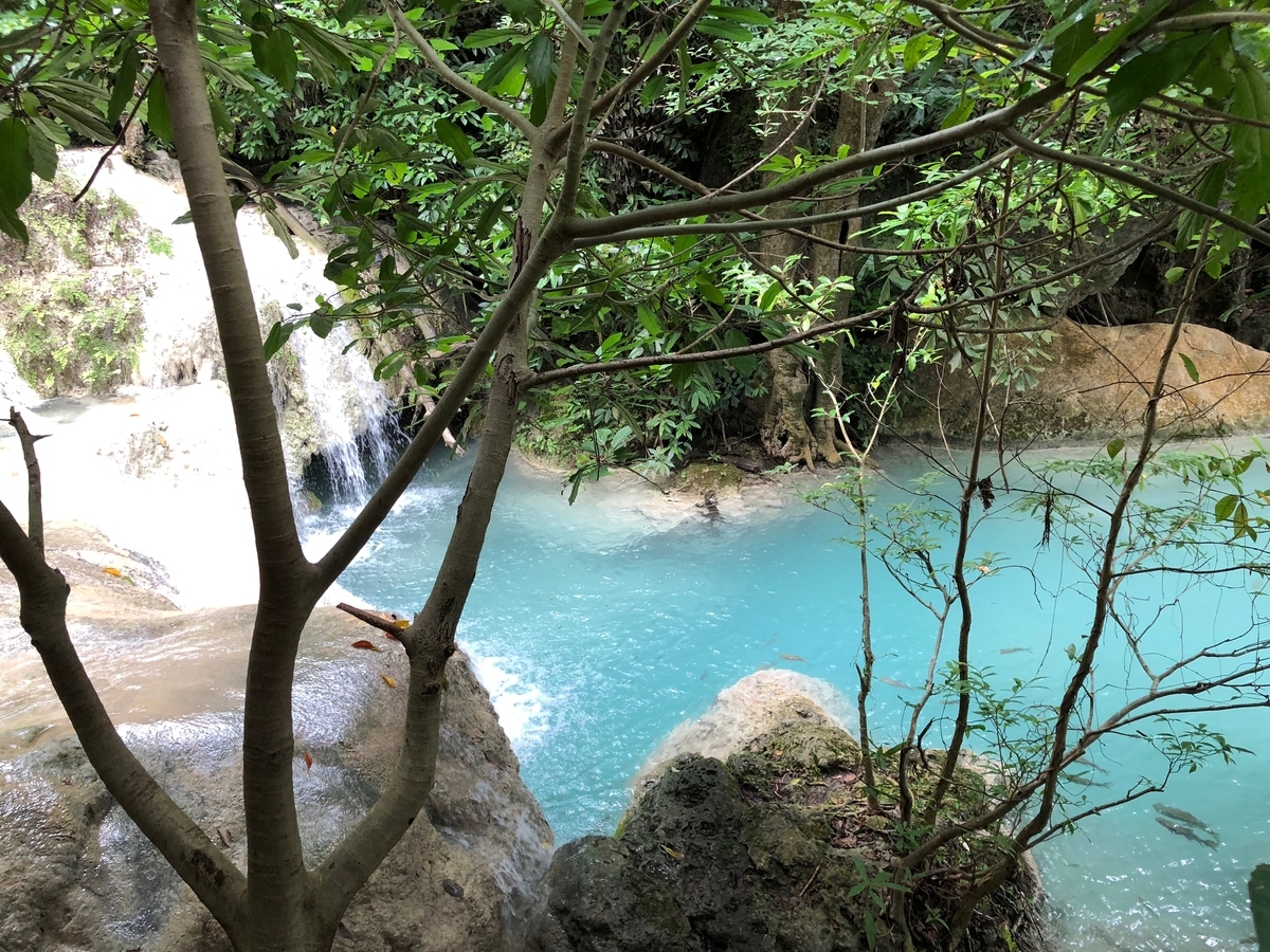 f:id:blog320:20191012114646j:plain f:id:blog320:20191012114646j:plain