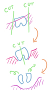 f:id:blog445:20210227222407j:plain