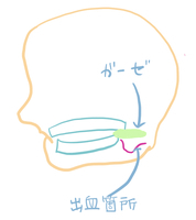 f:id:blog445:20210301004652j:plain
