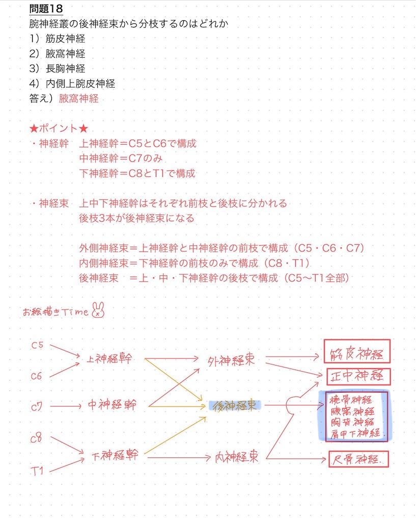 f:id:blog445:20240218125718j:image