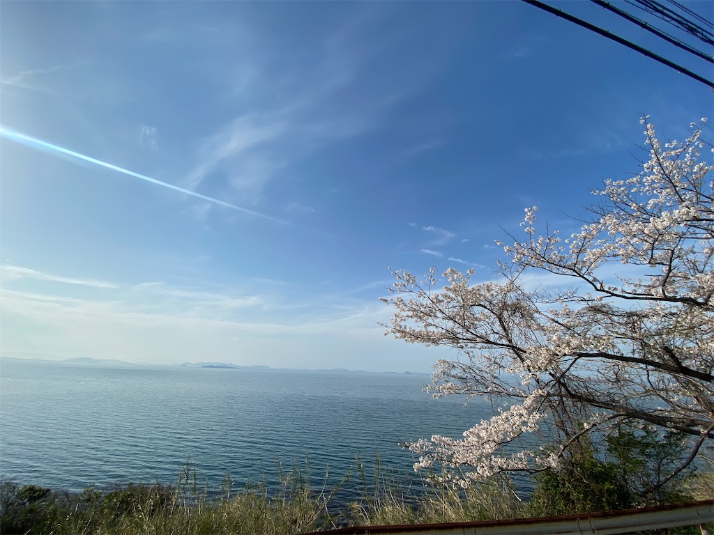 f:id:blog445:20241231181323j:image f:id:blog445:20241231181323j:image