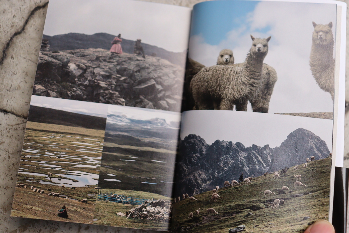 f:id:blog_chinatown-rix:20211015170119j:plain