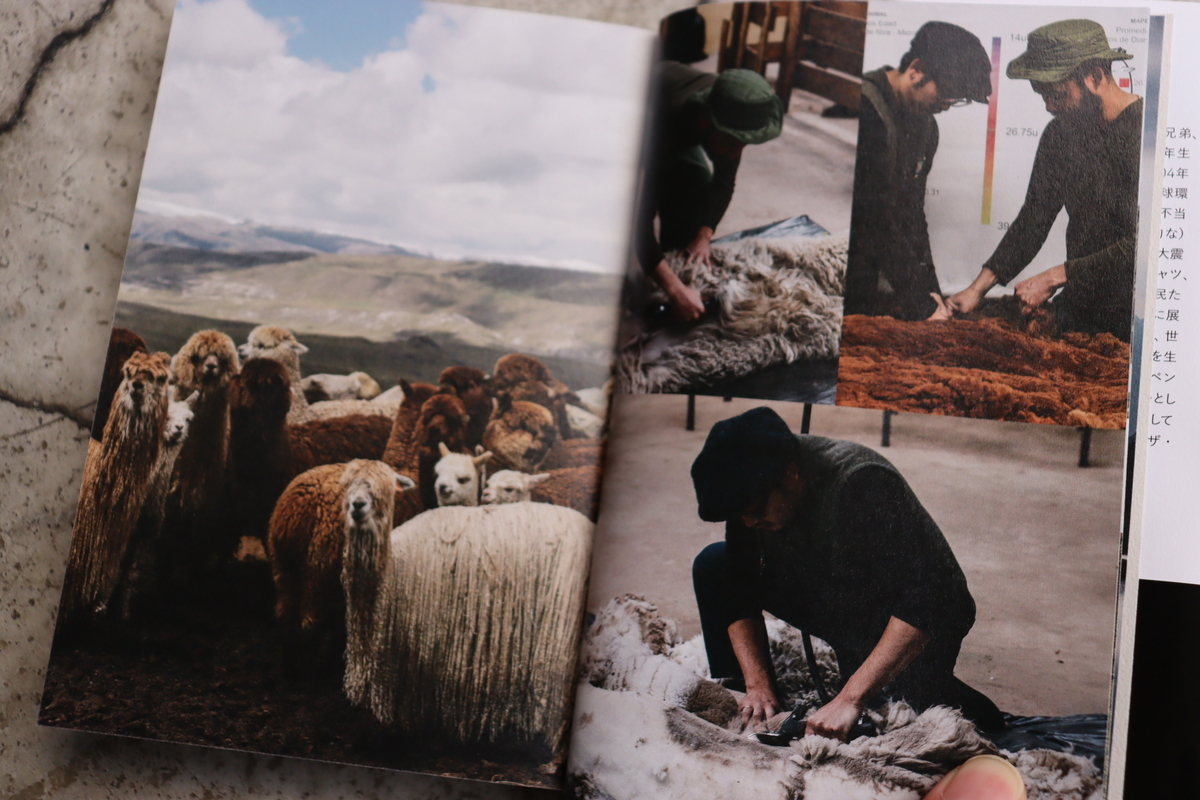 f:id:blog_chinatown-rix:20211015170126j:plain