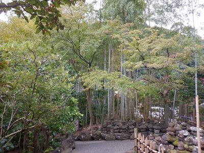 鎌倉・報国寺 ── 孟宗竹の竹林を巡る「竹の寺」── - Oh! That