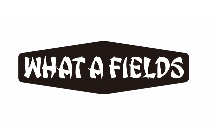 f:id:blog_shinjo:20191214181352j:plain