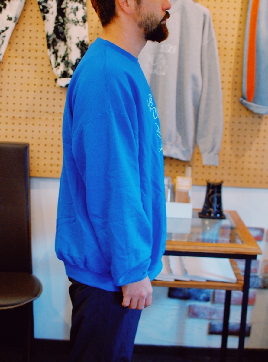 f:id:blog_shinjo:20200216143104j:plain