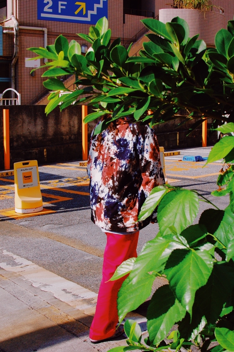 f:id:blog_shinjo:20200921174619j:plain