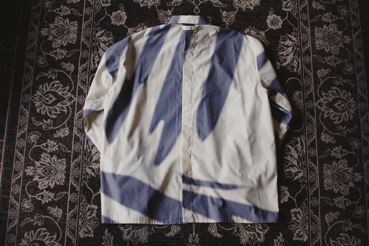 f:id:blog_shinjo:20210313174858j:plain