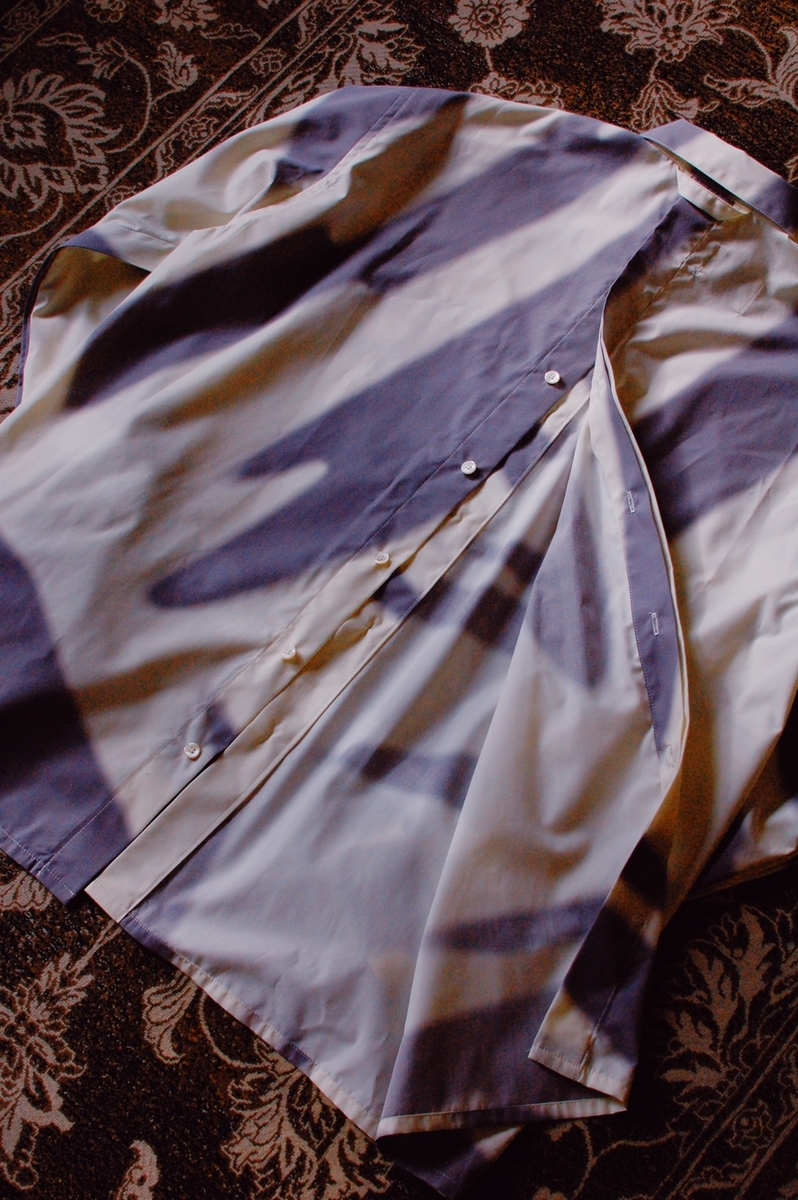 f:id:blog_shinjo:20210313174907j:plain