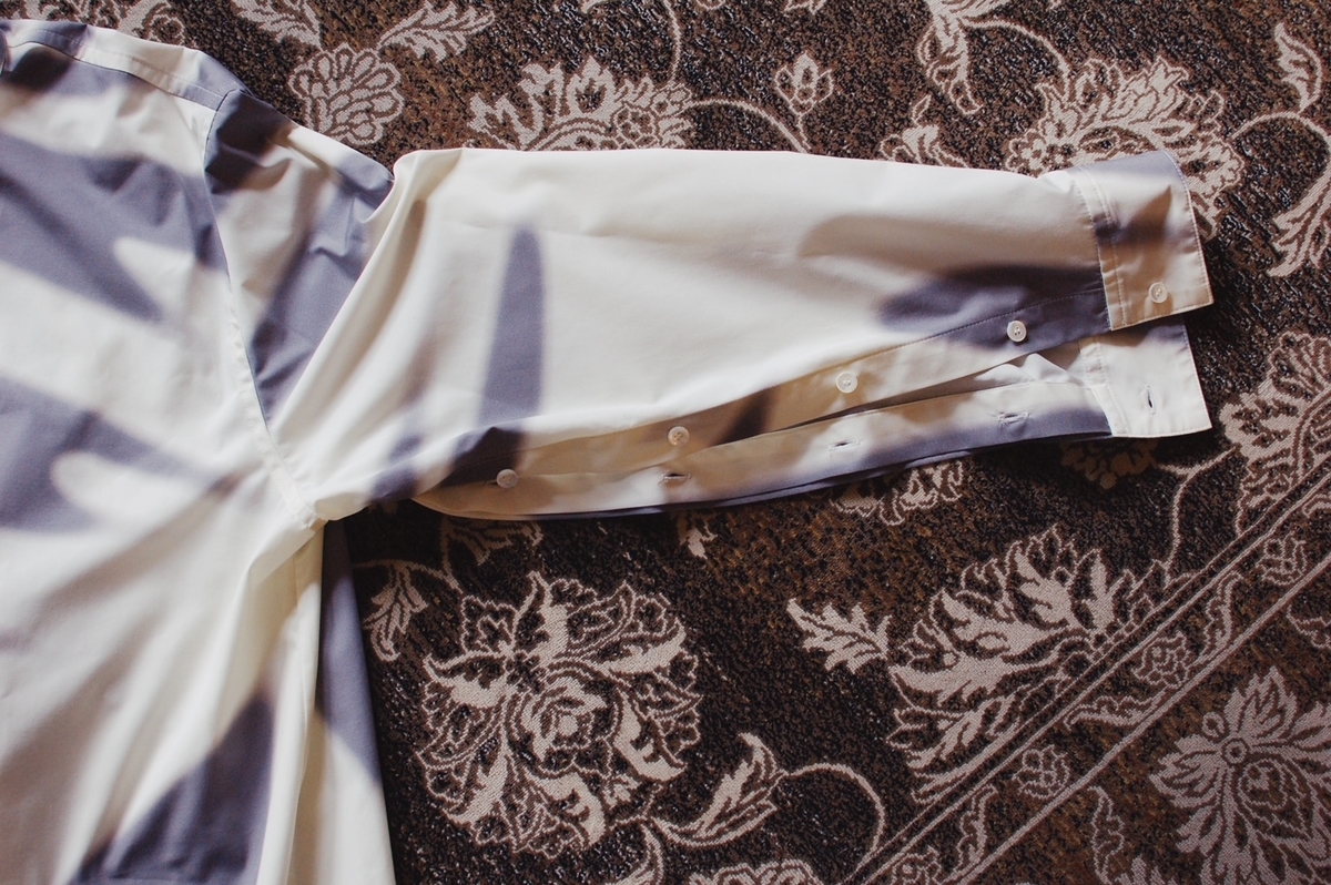 f:id:blog_shinjo:20210313174912j:plain