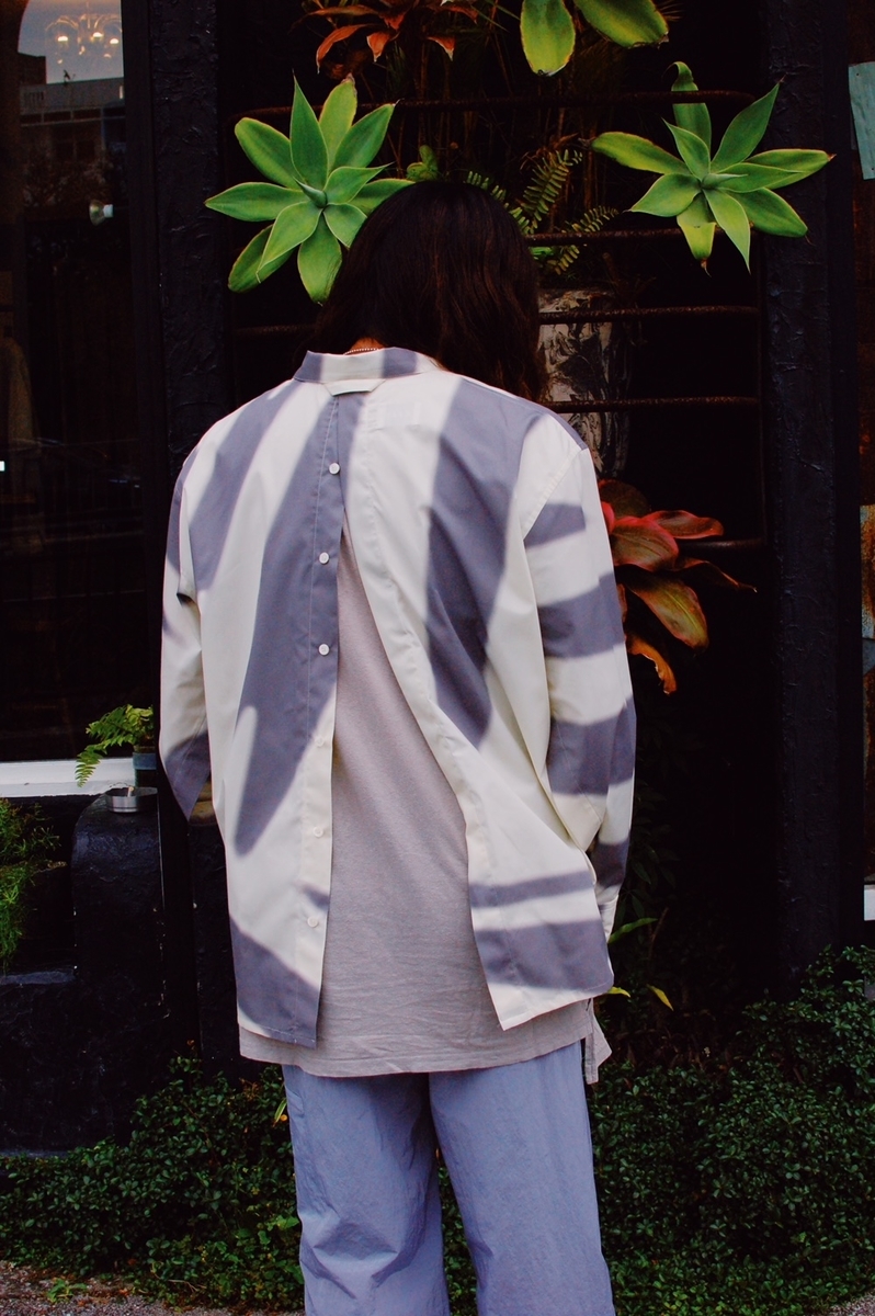 f:id:blog_shinjo:20210313181801j:plain