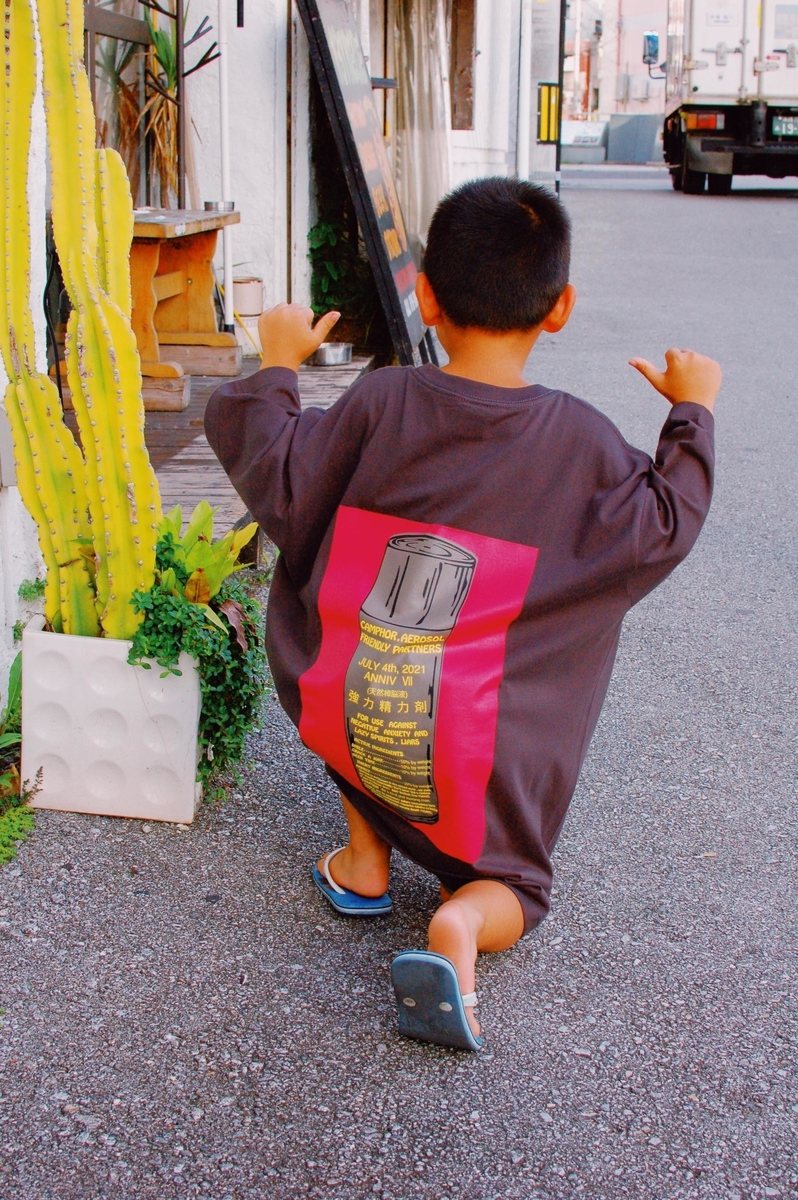 f:id:blog_shinjo:20210706135334j:plain