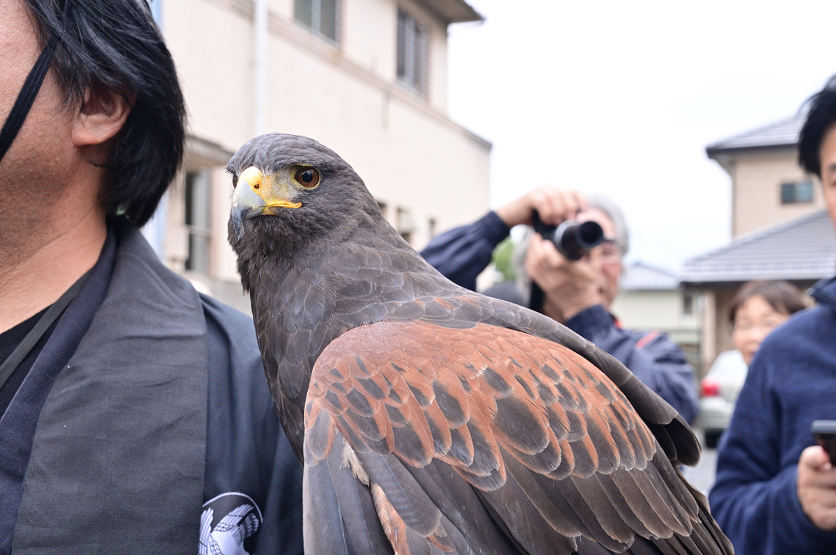f:id:blog_toumine:20191103131638j:plain f:id:blog_toumine:20191103131638j:plain