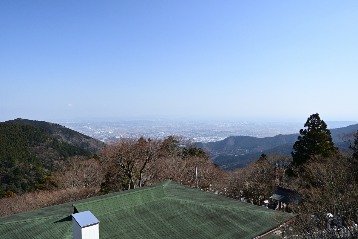 f:id:blog_toumine:20200225101536j:plain f:id:blog_toumine:20200225101536j:plain