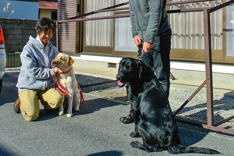 f:id:blogdaichan:20190106134418j:plain f:id:blogdaichan:20190106134418j:plain