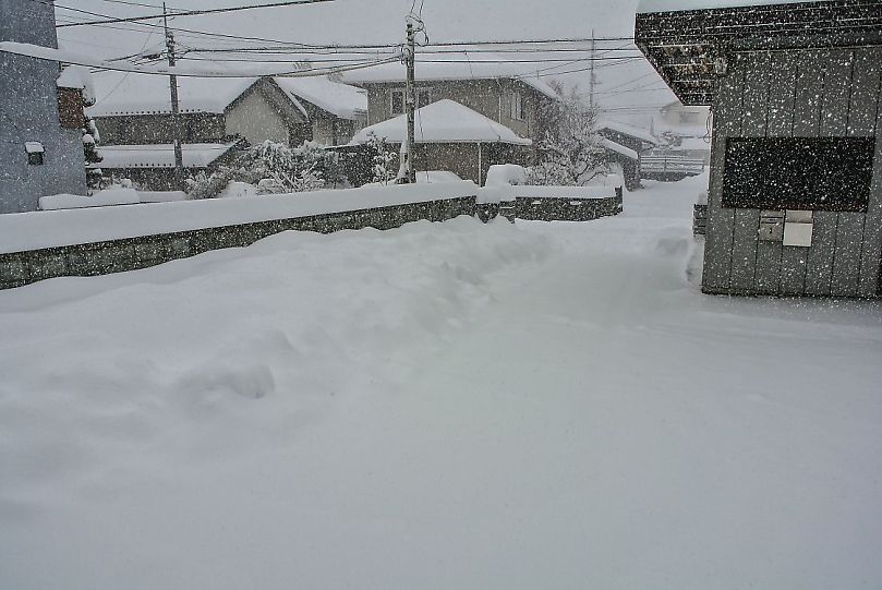 f:id:blogdaichan:20190107133051j:plain f:id:blogdaichan:20190107133051j:plain