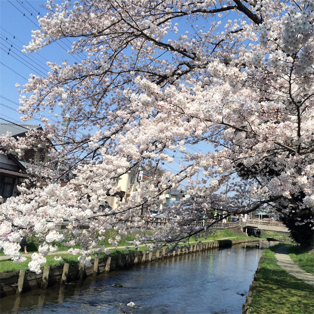 f:id:blogdesudesu:20180324000218j:image