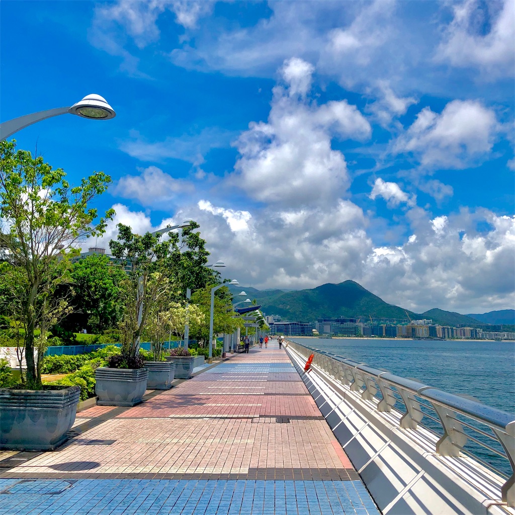 f:id:bloggenic:20190626102541j:image f:id:bloggenic:20190626102541j:image