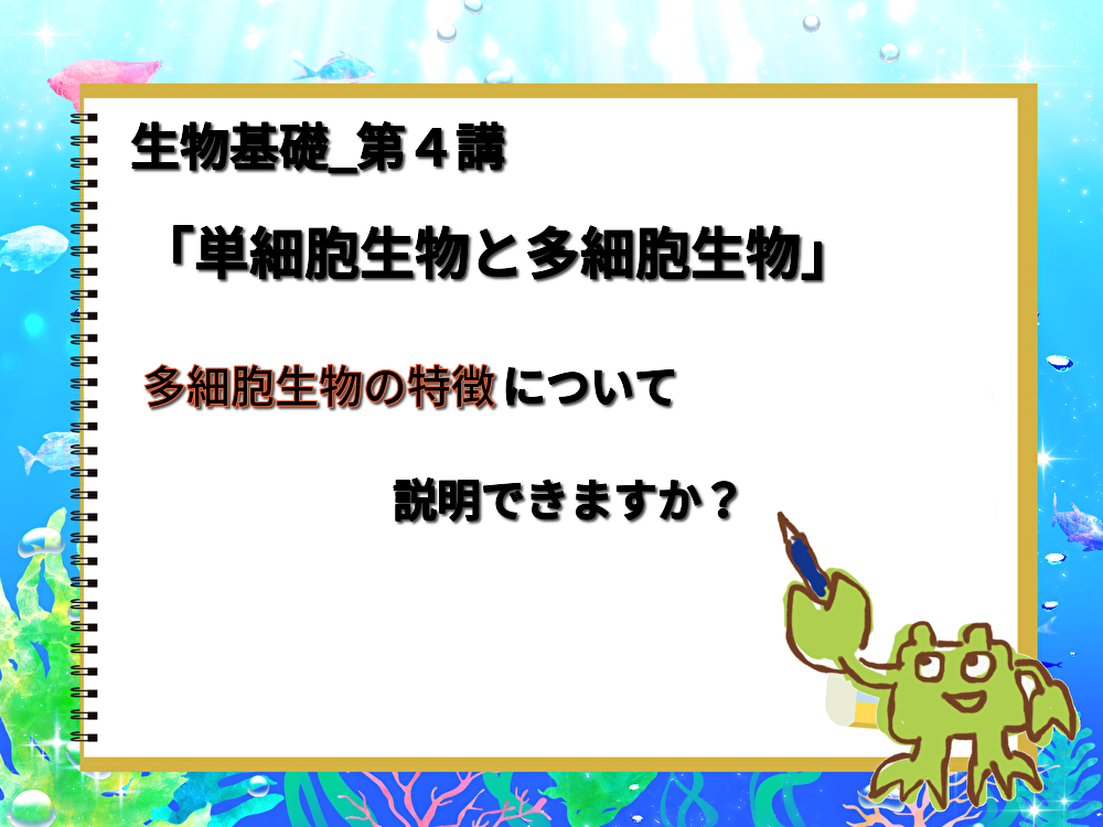 f:id:blogger-m:20190512191723p:plain f:id:blogger-m:20190512191723p:plain