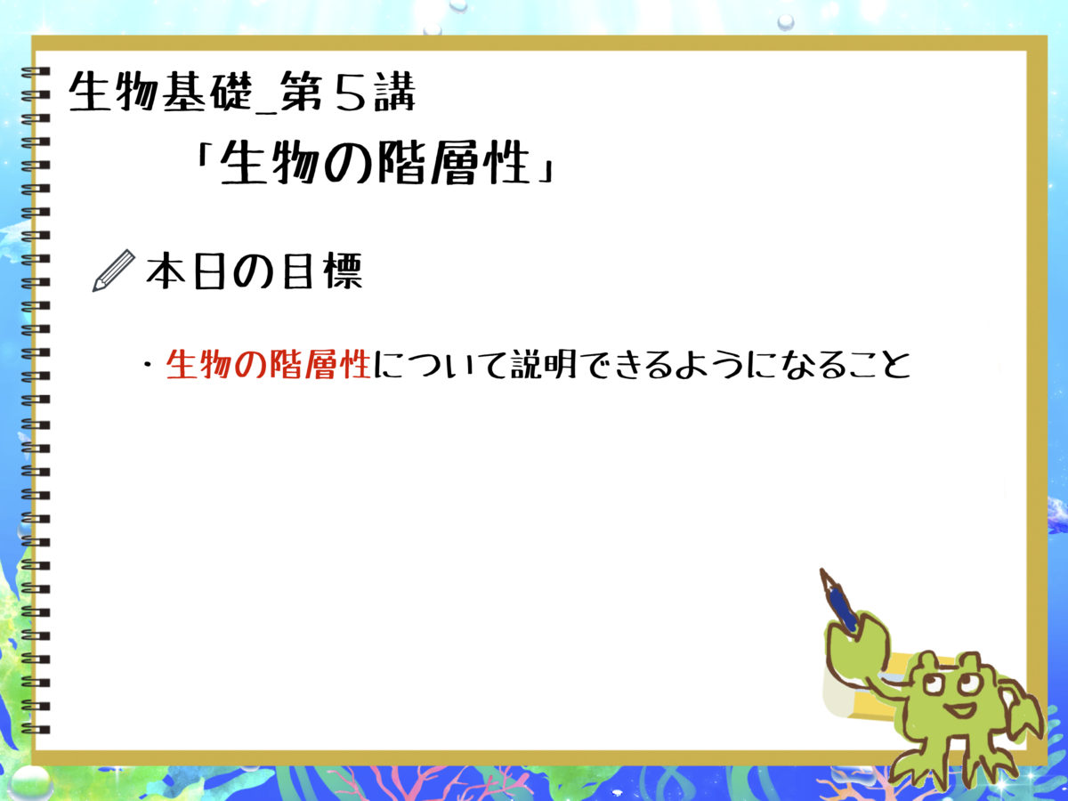 f:id:blogger-m:20190518201816p:plain f:id:blogger-m:20190518201816p:plain