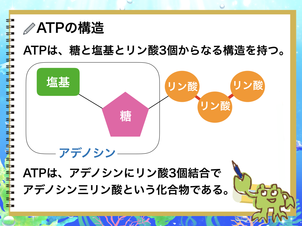 f:id:blogger-m:20190601082248p:plain f:id:blogger-m:20190601082248p:plain