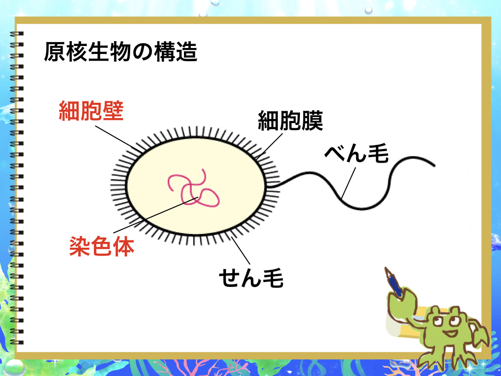 f:id:blogger-m:20190608163210p:plain f:id:blogger-m:20190608163210p:plain