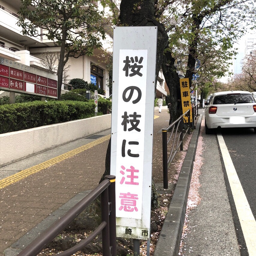 f:id:blogist:20210409071726j:plain