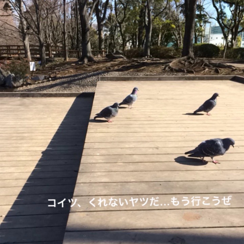 f:id:blogist:20230207104301j:image