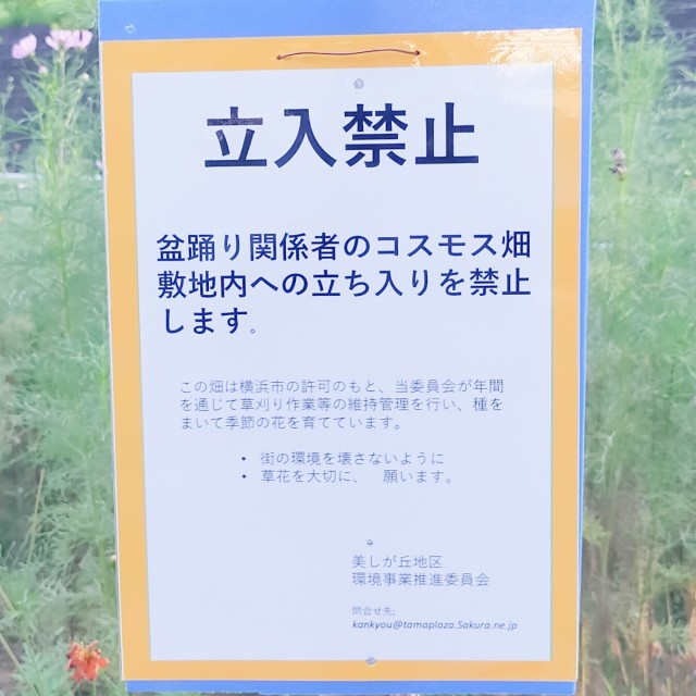 f:id:blogist:20230724101042j:image f:id:blogist:20230724101042j:image