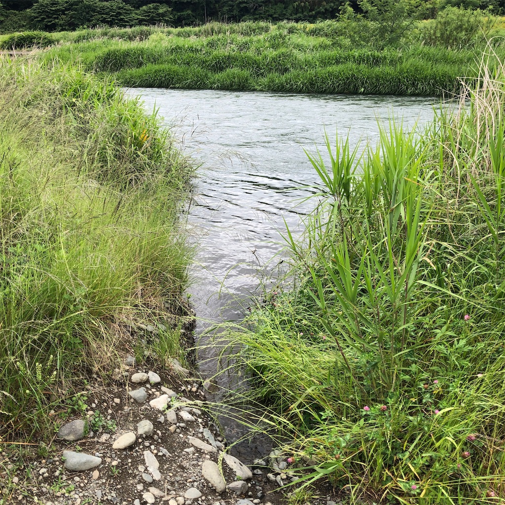 f:id:blogist:20240612230346j:image