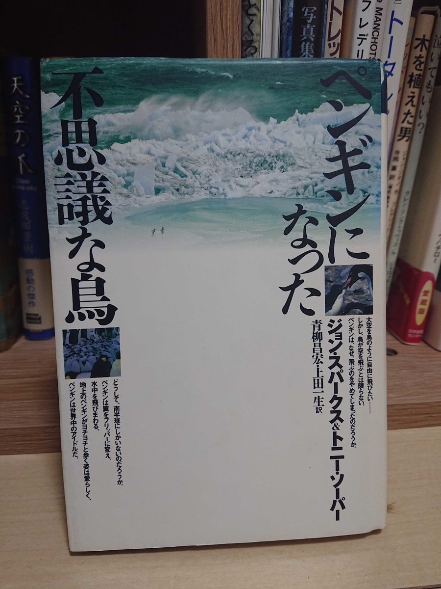 ペンギンになった不思議な鳥