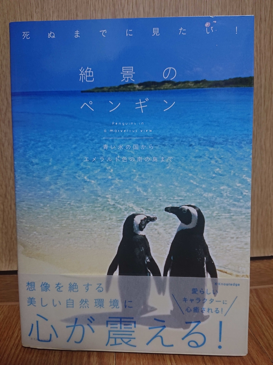 絶景のペンギン