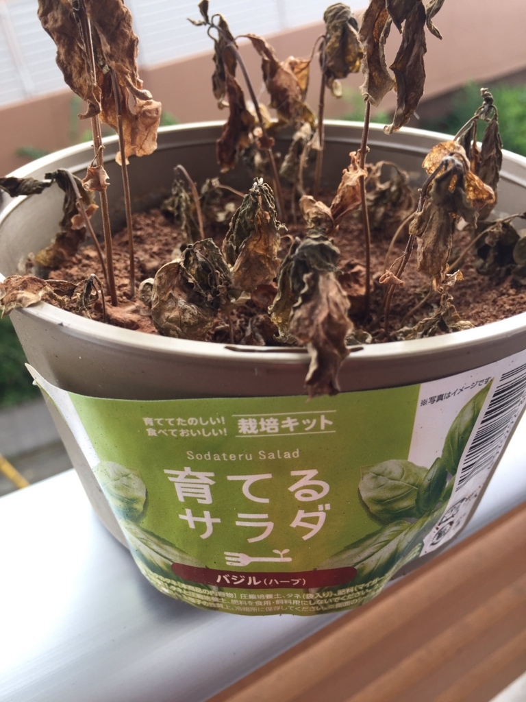 f:id:blogmaresuke:20170806183659j:plain f:id:blogmaresuke:20170806183659j:plain
