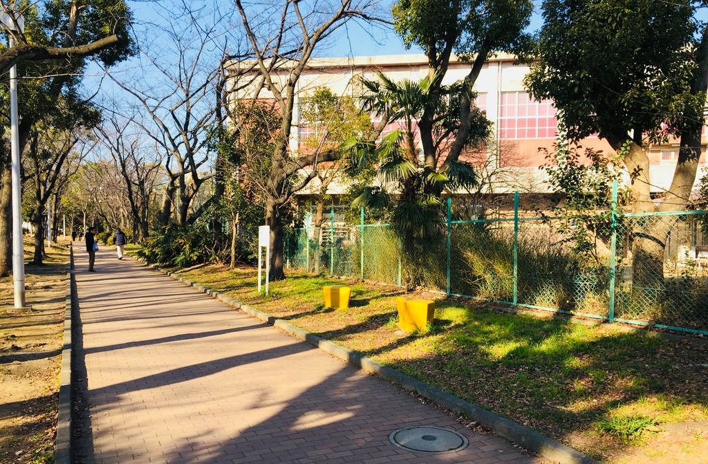 f:id:blogmotosumiyoshi:20190126004806j:plain