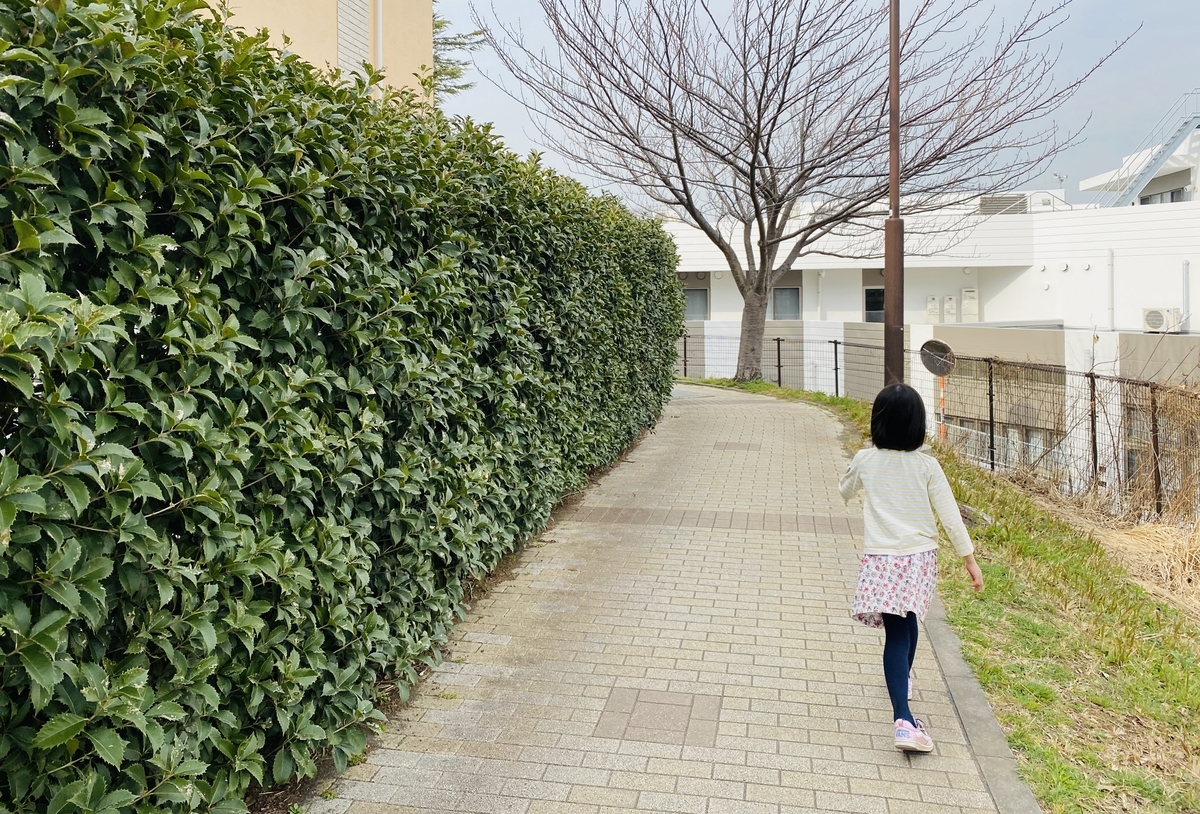 f:id:blogmotosumiyoshi:20200229145648j:plain