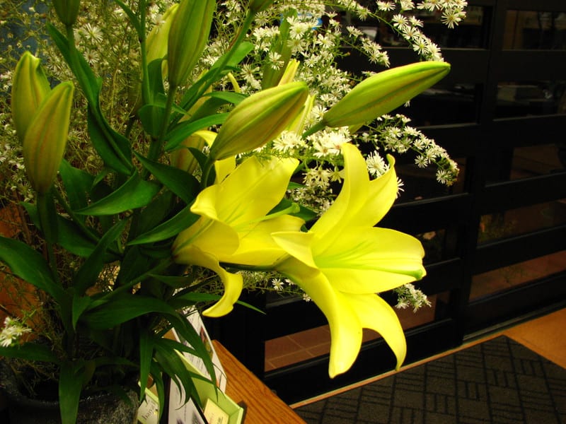 Photo Photo