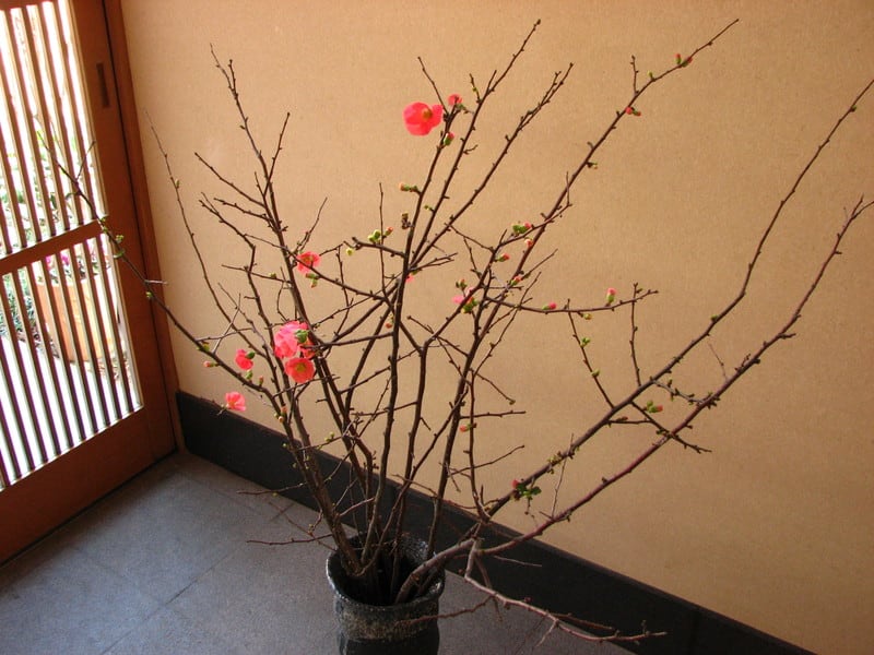Photo Photo