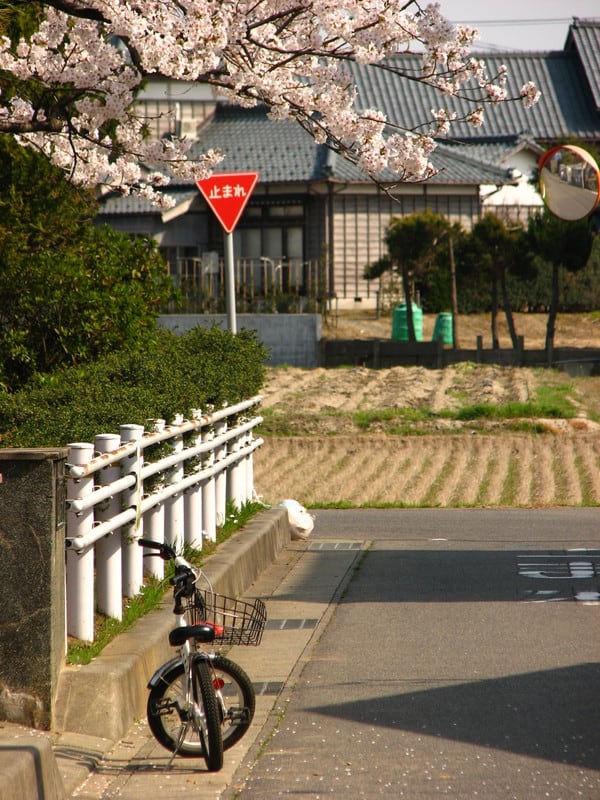 Photo Photo
