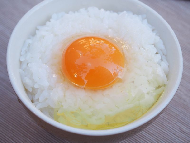 f:id:blogscout:20190118143357j:plain f:id:blogscout:20190118143357j:plain