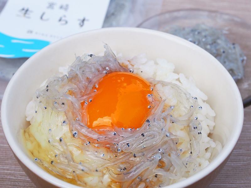 f:id:blogscout:20190327210733j:plain f:id:blogscout:20190327210733j:plain