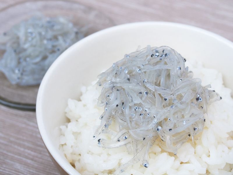 f:id:blogscout:20190327210844j:plain f:id:blogscout:20190327210844j:plain