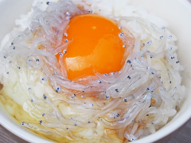 f:id:blogscout:20190327210922j:plain f:id:blogscout:20190327210922j:plain