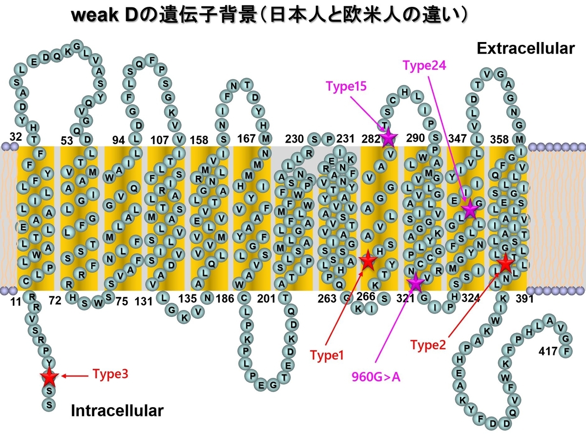 f:id:bloodgroup-tech:20200209193045j:plain