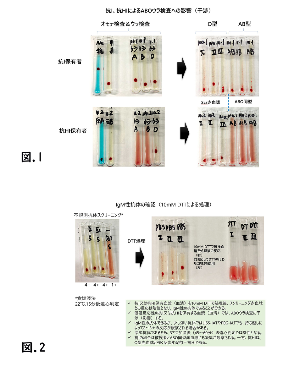 凝集素