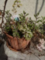20100410083509
