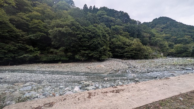 f:id:bloominfeeling:20250816205439j:image